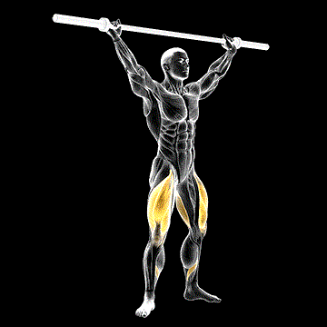 Barbell Overhead Squat demonstration
