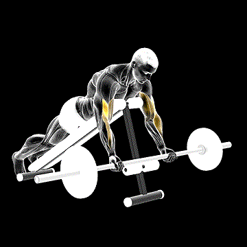 Barbell Prone Incline Curl demonstration