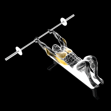 Barbell Pullover demonstration