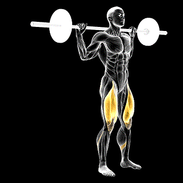 Barbell Rear Lunge demonstration