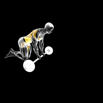 Barbell Rollout demonstration