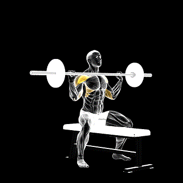 Barbell Seated Overhead Press demonstration