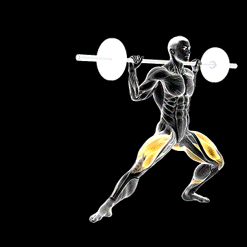 Barbell Side Split Squat demonstration