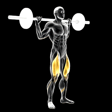 Barbell Speed Squat demonstration