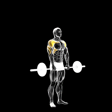 Barbell Standing Front Raise Overhead demonstration
