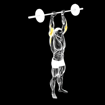 Barbell Standing Overhead Triceps Extension demonstration
