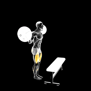 Barbell Step-up demonstration