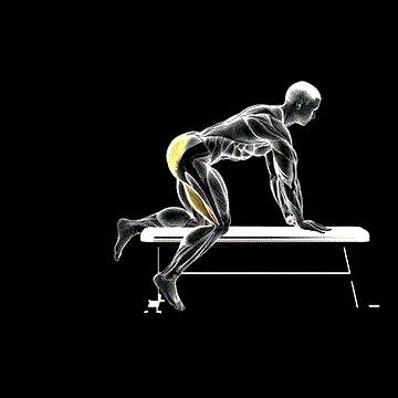 Bench Hip Extension demonstration