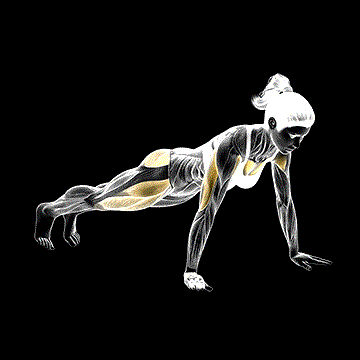 Bent Side Knee Push-up demonstration