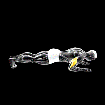 Body-Up demonstration