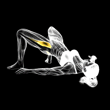 Bridge Hip Abduction demonstration