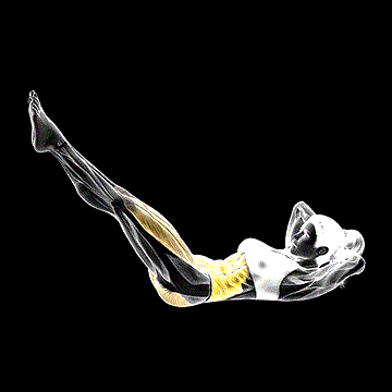 Bicycle Twisting Crunch demonstration