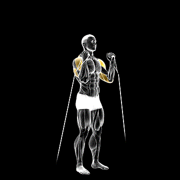 Cable Alternate Shoulder Press demonstration