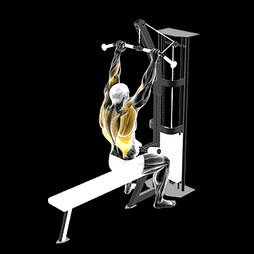 Cable Bar Lateral Pulldown demonstration