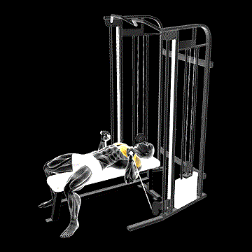 Cable Bench Press demonstration
