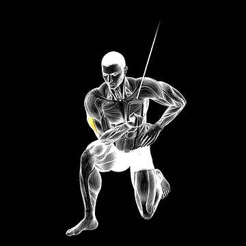 Cable Concentration Extension (on Knee) demonstration