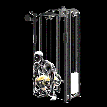 Cable Deadlift demonstration