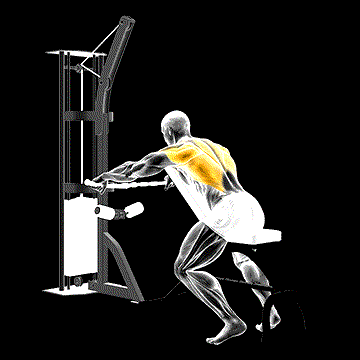 Cable Decline Seated Wide-Grip Row demonstration