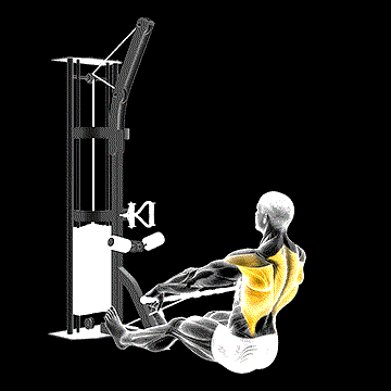 Cable Floor Seated Wide-Grip Row demonstration