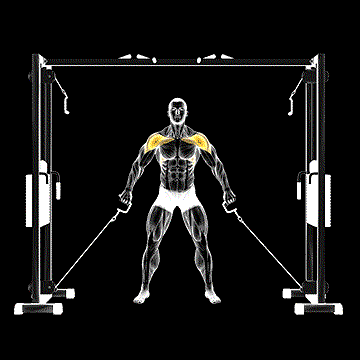 Cable Front Shoulder Raise demonstration