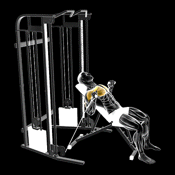 Cable Incline Bench Press demonstration