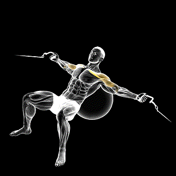 Cable Incline Fly (w/ Stability Ball) demonstration