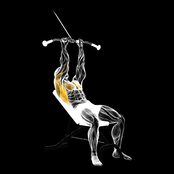Cable Incline Pushdown demonstration