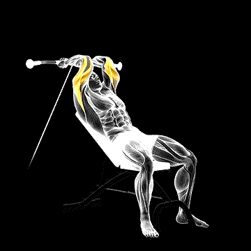 Cable Incline Triceps Extension demonstration
