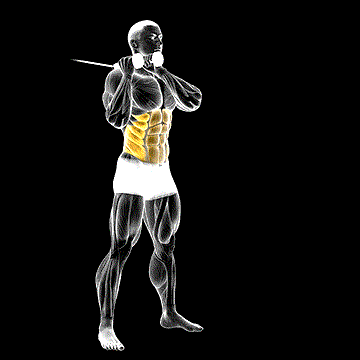 Cable Judo Flip demonstration