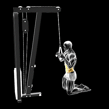 Cable Kneeling Crunch demonstration