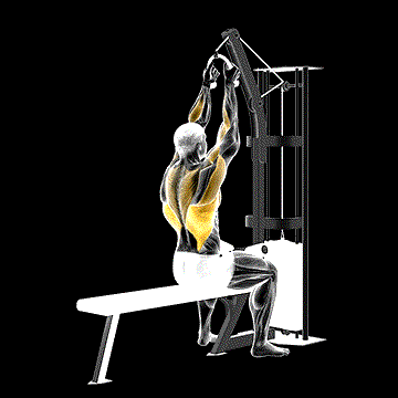 Cable Lateral Pulldown (w/ Rope Attachment) demonstration