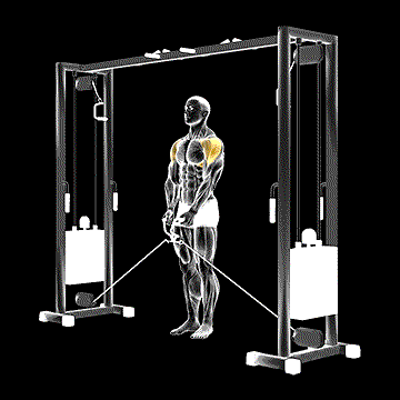 Cable Lateral Raise demonstration