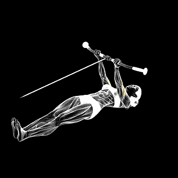 Cable Lying Curl demonstration