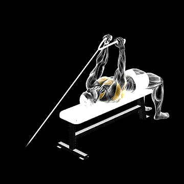 Cable Lying Extension Pullover (w/ Rope Attachment) demonstration