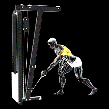 Cable One-Arm Bent-over Row demonstration
