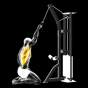 Cable One-Arm Straight-Back High Row (Kneeling) demonstration