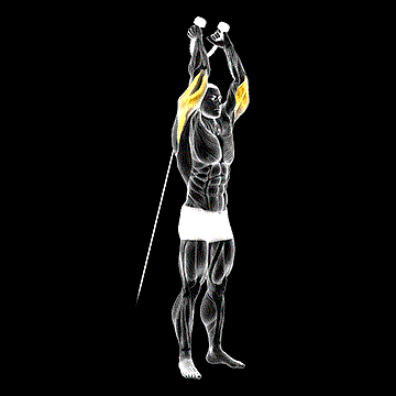 Cable Overhead Triceps Extension (w/ Rope Attachment) demonstration