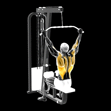 Cable Wide Pulldown demonstration