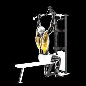 Cable Pulldown demonstration