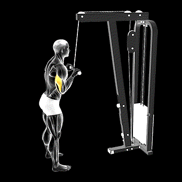 Cable Pushdown demonstration
