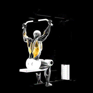 Cable Rear Pulldown demonstration