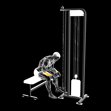 Cable Reverse Wrist Curl demonstration