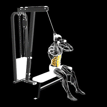 Cable Seated Crunch demonstration