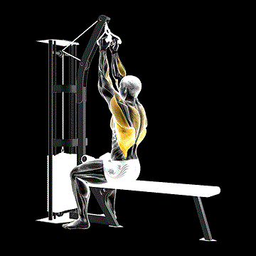 Cable Seated High Row (V Bar) demonstration
