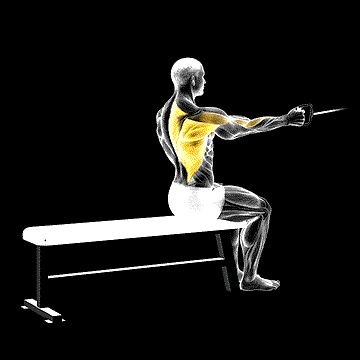 Cable Seated One-Arm Alternate Row demonstration