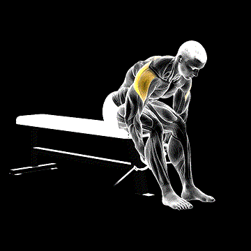 Cable Seated Rear Lateral Raise demonstration