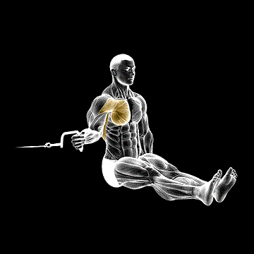 Cable Seated Shoulder Internal Rotation demonstration