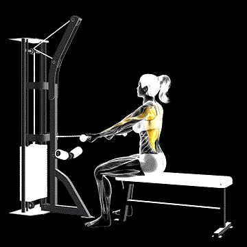 Cable Seated Supine-Grip Row demonstration