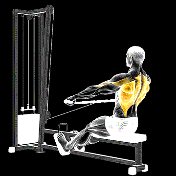 Cable Seated Wide-grip Row demonstration