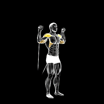 Cable Shoulder Press demonstration